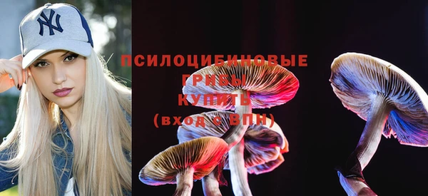кокаин перу Заводоуковск