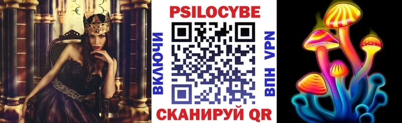 Галлюциногенные грибы Psilocybe Трубчевск